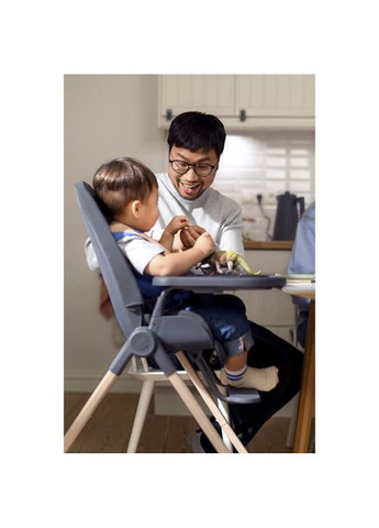 Стул для кормления Ava Beyond Grey Eco (2040052110) Maxi-Cosi (325218610)