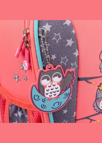 Рюкзак шкільний каркасний S-57 Owls Yes (332653891)