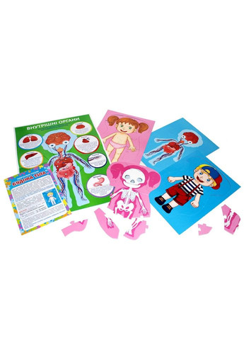 Навчальні пазли "Будова тіла" 13164012, 58 великих пазлів, плакат Ranok Creative (315351811)