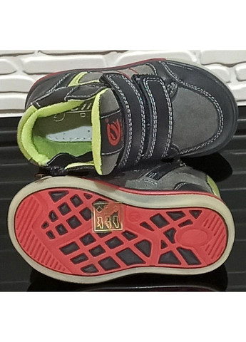 Демісезонні черевики утеплені на флісі хайтопи на липучках для хлопчика Клібі Clibee (361027964)