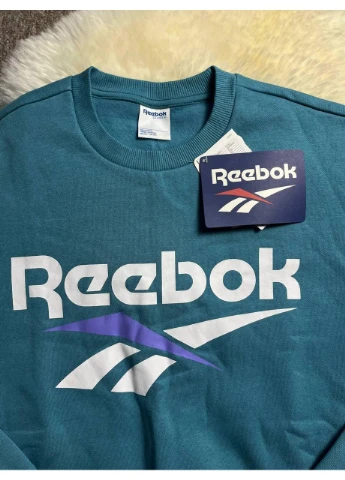 Бірюзовий кофта чоловіча спортивна бірюзова classics vector crewneck jumper Reebok (386499017)