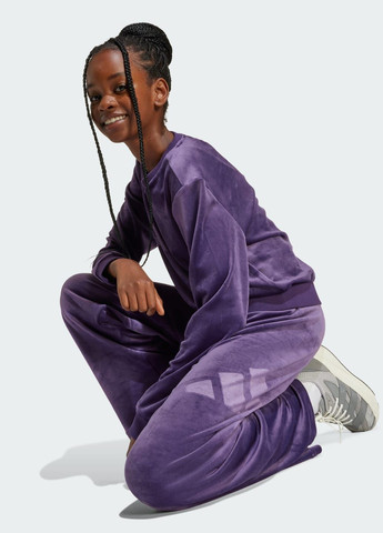 Фиолетовые спортивные демисезонные брюки adidas