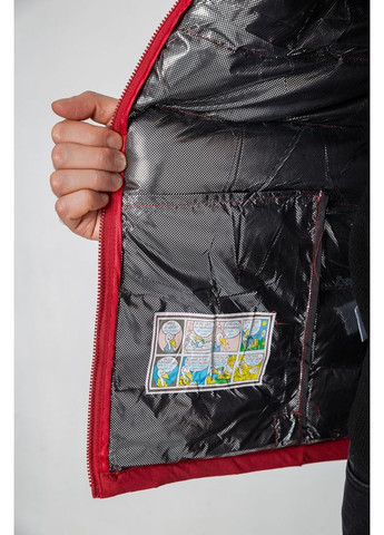 Жилетка чоловіча демісезонна Sport Line (320220563)