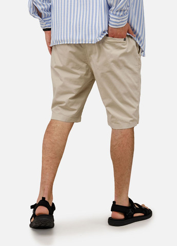 Мужские шорты цвет бежевый ЦБ-00250652 Dozor (307363072)