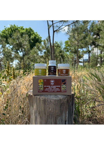 Курс Детокс Чага Трійчатка Лисичка Арніка (1 місяць) Лісовик (364210603)