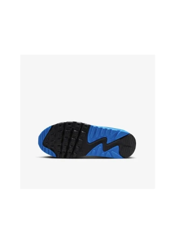 Кросівки підліткові AIR MAX 90 LTR (GS) CD6864-127 Nike комбіновані (391386250)