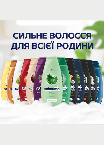 Шампунь Щоденний Догляд з екстрактом ромашки, для всіх типів волосся, 400 мл Schauma (328399196)