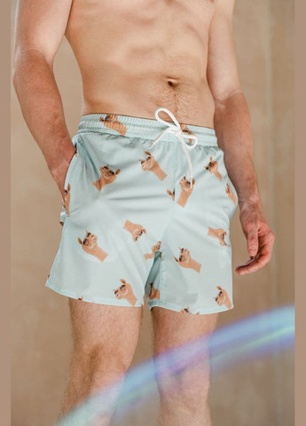 Мужские плавательные шорты Alpachka Light Blue Without (325655327)