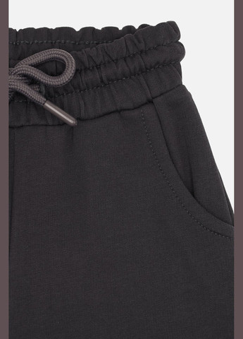 Графитовые демисезонные брюки Yuki