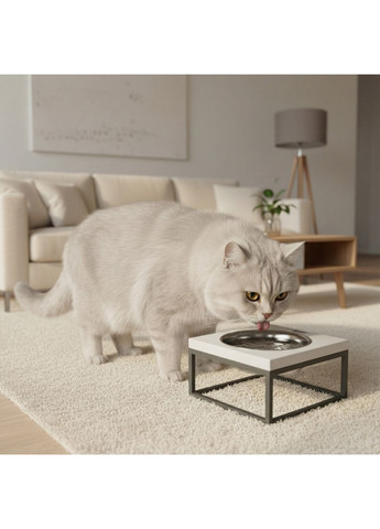 Миска на підставці для котів і середніх собак Base Solo M (1 × 0,8 л) Solo M-212110-GRWH Hollky (365652781)