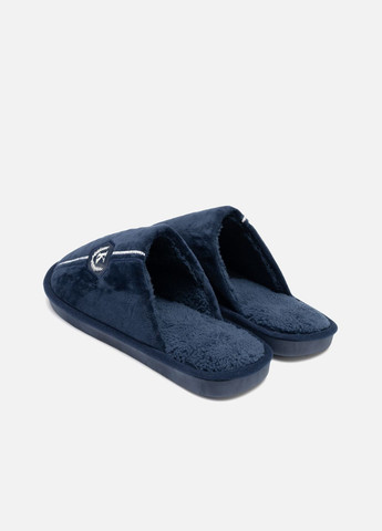 Чоловічі домашні капці колір синій ЦБ-00265087 No Brand (309151202)