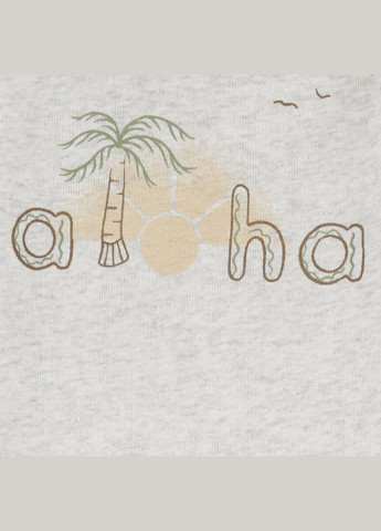 Оливковый (хаки) демисезонный комплект 3в1 боди песочник шорты для мальчика 69-72 см (1q470310_) Carter's