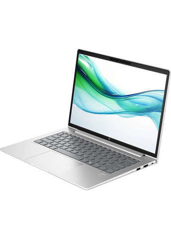 Ноутбук ProBook 445 G11 Pike Silver (AD0T7ET) HP (361853510)
