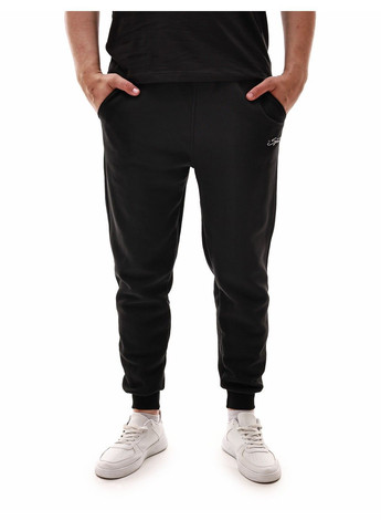 Штани спортивні чоловічі Van Gils (366820481)