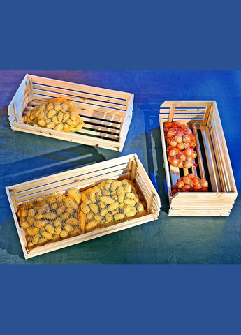 Стелаж для овочів і фруктів з дерева Сістл бланже (ЯХТ-002801) No Brand (327868102)