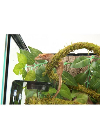 Лиана с натуральным мхом 2см x 2м (RV0220) Repti-Zoo (363452782)