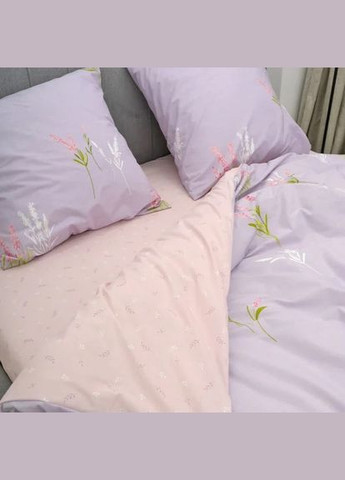 Комплект постельного белья евро ранфорс 21146 100% хлопок Viluta (342116413)