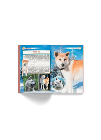 Книга "Енциклопедія. Собаки" Home (323201959)