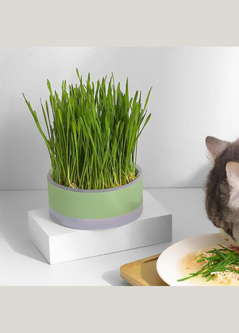 Лоток для гідропонного вирощування мікрозелені та розсади круглий зелений (NR0169_2) No Brand (303898413)