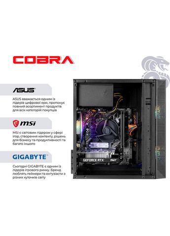 Комп'ютер Advanced (I121F.16.H1S2.35.25072) Cobra (357210278)