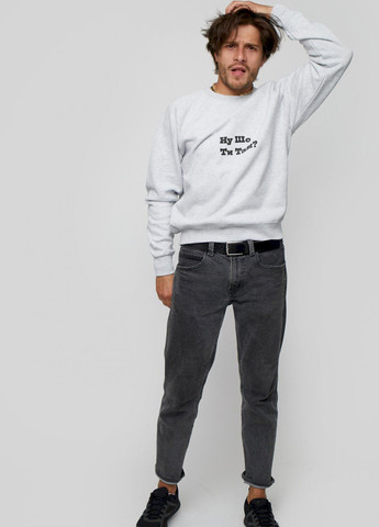 Сірий світшот чоловічий сірий "ну шо ти там?" YAPPI малюнок (303772936)