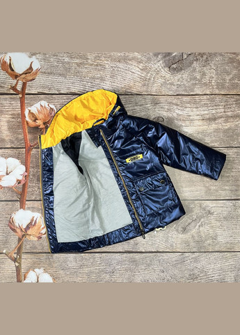 Синя демісезонна куртка Delfin-Free