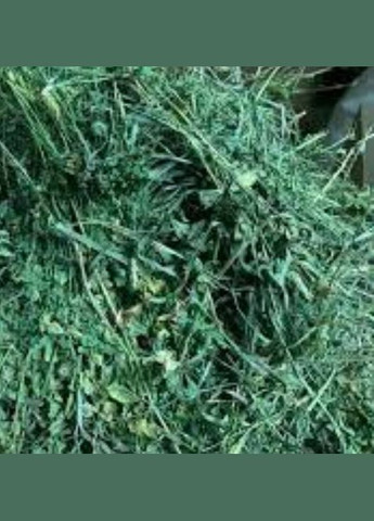 Сіно люцерна для гризунів ТМ WitoPets 6 литрів, для морських свінок, хом'ячків кроликів шиншилл, мишей і щурів No Brand (320950053)