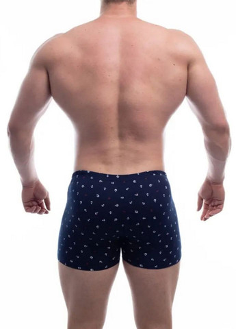 Чоловічі труси шорти МШ 950408 р. Tezavrator Боксери (278259358)