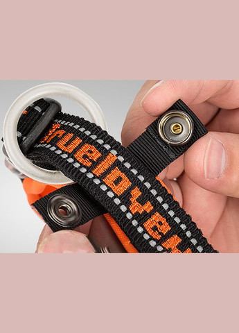 Нашийник для собак TLC50121, світловідбивний для середніх і великих порід собак, Чорний/Червоний L Truelove (299915384)