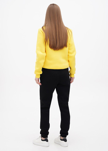 Женские брюки Джоггеры теплые на флисе (hb614456) HiBrand (355262262)