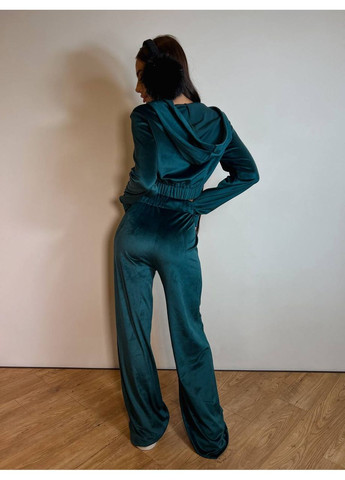 Костюм велюровый с укороченной кофтой и брюки Україна (348033190)