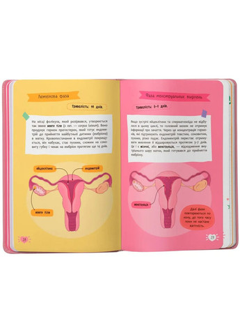 Путеводитель подростка. Все о месячных - Анастасия Захаренкова () Кристал Бук F00031699 (341678268)
