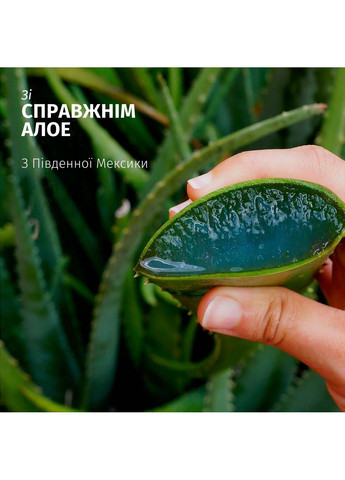 Кондиціонер "Алое" зволожуючий 250 мл HERBAL ESSENCES (304485197)