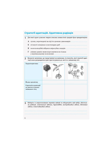 Біологія і екологія 11 клас Робочий зошит Рівень стандарту Автор Задорожний Вид-во: РАНОК (356607100)