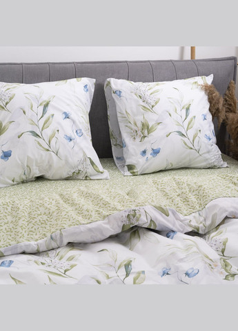 Комплект постільної білизни Двоспальний Ранфорс 24259 Viluta (365289705)