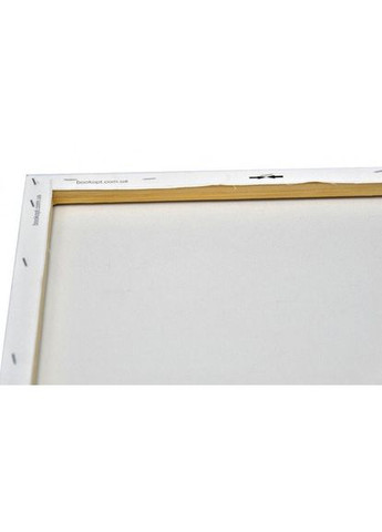 Картини натюрморт за номерами 40х50 Розпис за номерами на чорному полотні Інжир та виноград AH1045 Strateg (308987802)