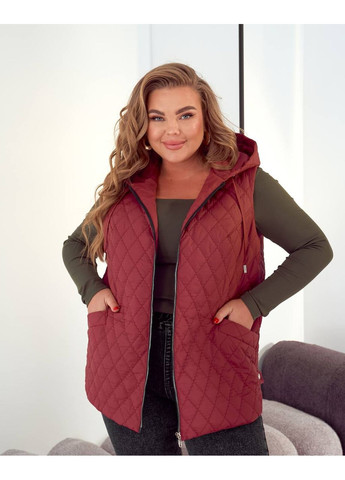 Жилет жіночий стьобаний з капюшоном No Brand (361221230)