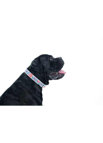 Нашийник WAUDOG (333706294)