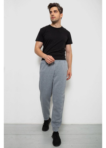 Серые спортивные, кэжуал демисезонные брюки Ager