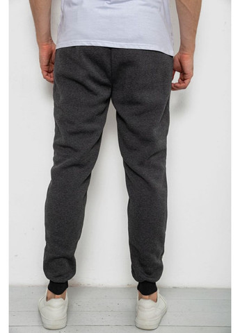 Спортивні чоловічі штани на флісі Ager 238R56910-5 (357234613)