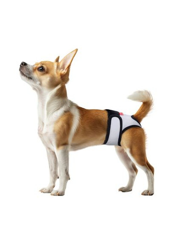 Гигиенические трусы для собак Vet на липучках серые (678411) WAUDOG Vet на липучках L сірі (370019541)