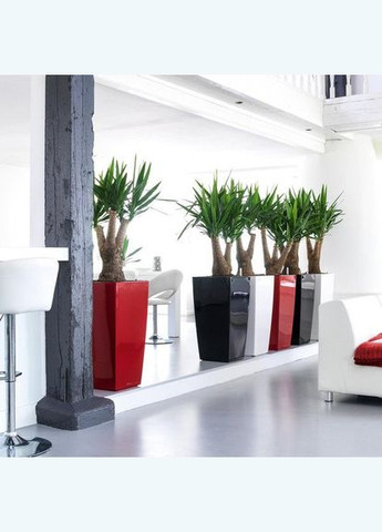 Умный вазон Cubico 40 31 л белый 18191 Lechuza (316622820)