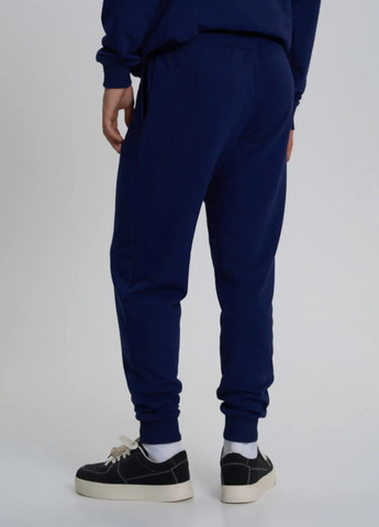 Темно-синие спортивные демисезонные джоггеры брюки Роза