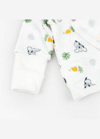 Білий комплект для немовлят 3 в 1 з начосом з коалами koala білий dexter's
