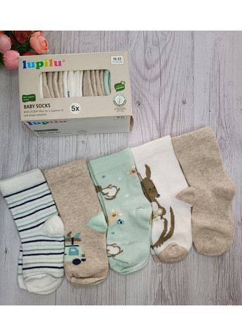 Комбинированные набор носков для мальчика Lupilu всесезон (360730347)