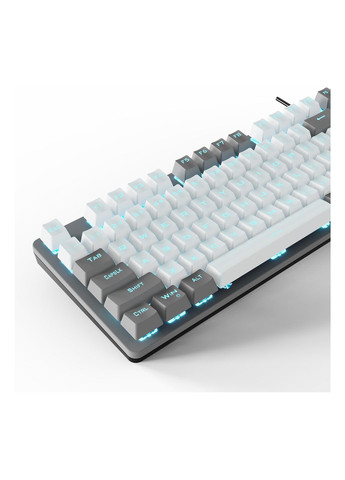 Клавіатура Aula f3287 keycap krgd blue usb ua white/grey (271557489)