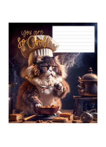 Зошит учнівський You are so cool 012-3241K 12 арк. (482000647043203241)(SC) shop (482000647043203241) Школярик (337404341)