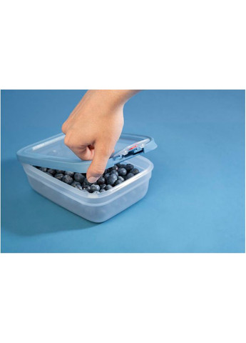 Контейнер oneClick 2.3 л (N1211310) Tefal (363837355)