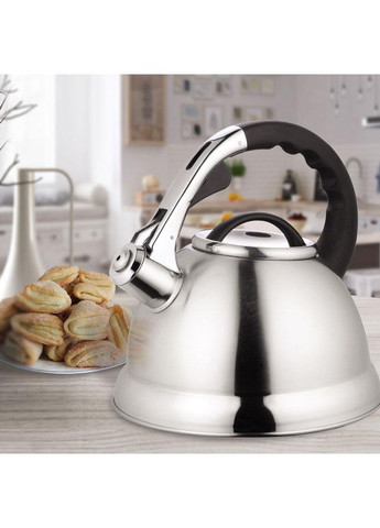 Чайник со свистком MR-1328 2.8 л Maestro (362263765)