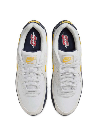 Цветные демисезонные мужские кроссовки air max 90 разноцветный Nike